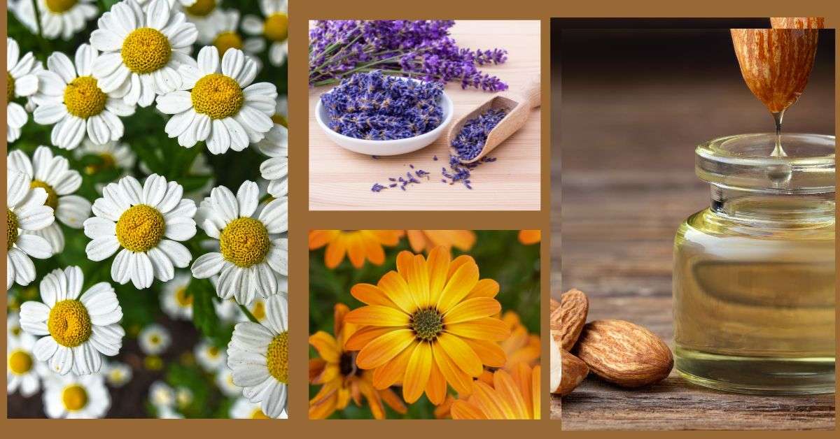 Key Ingredients in Herbal Baby Oil