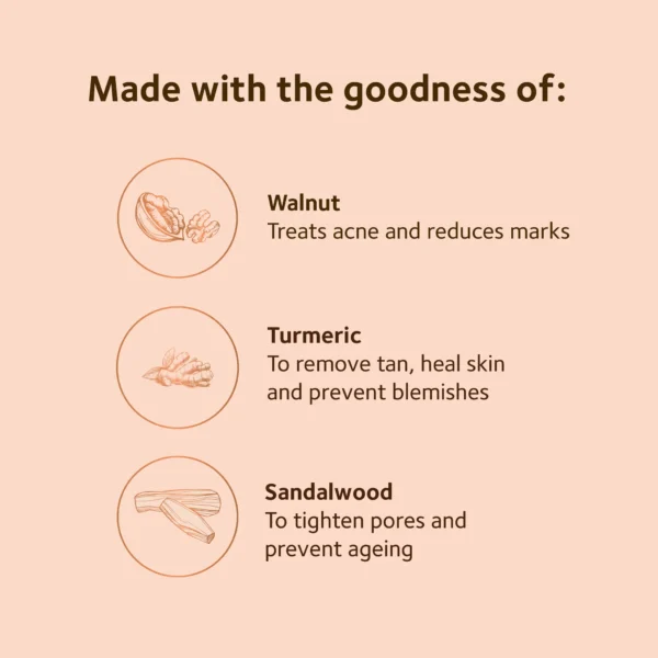 SoulTree Ayurvedic Face Scrub - Image 4