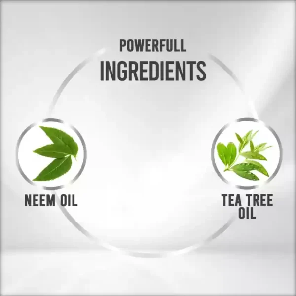 BON ORGANICS Herbal Shampoo - Image 2