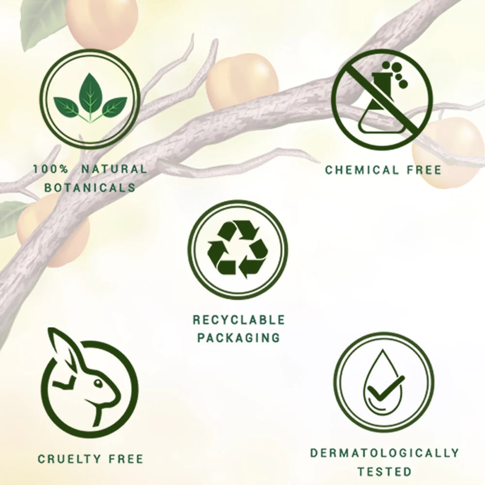 Biotique Apricot Refreshing Body Wash-190ml - Image 8