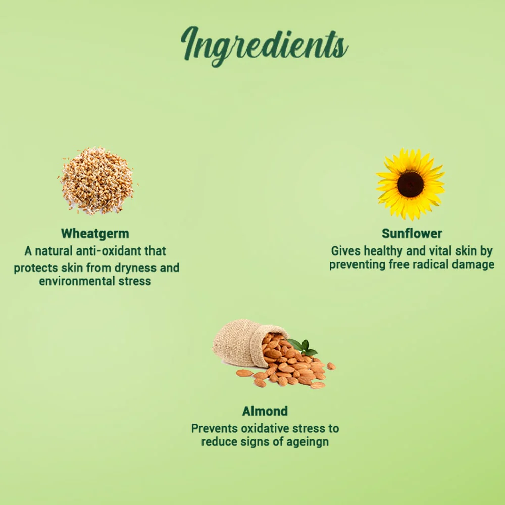 Biotique Wheat Germ Anti- Ageing Night Cream-50g - Image 3