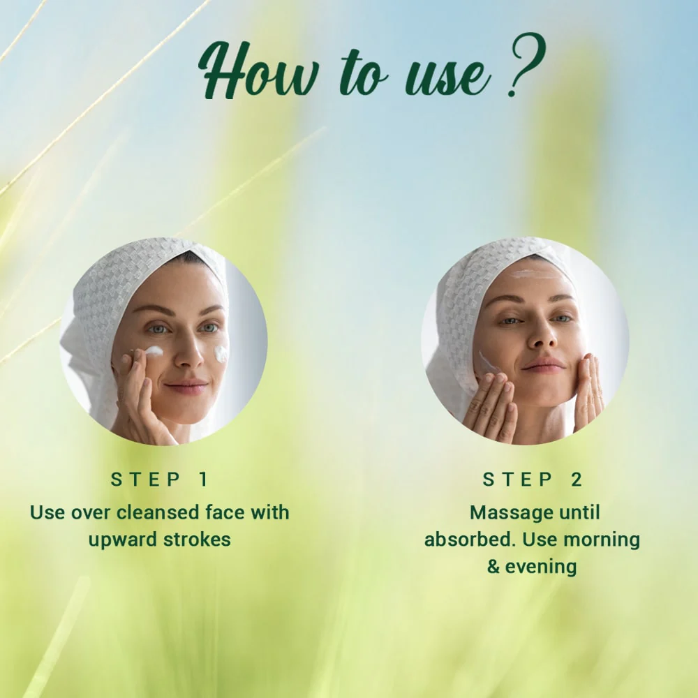 Biotique Wheat Germ Anti- Ageing Night Cream-50g - Image 9