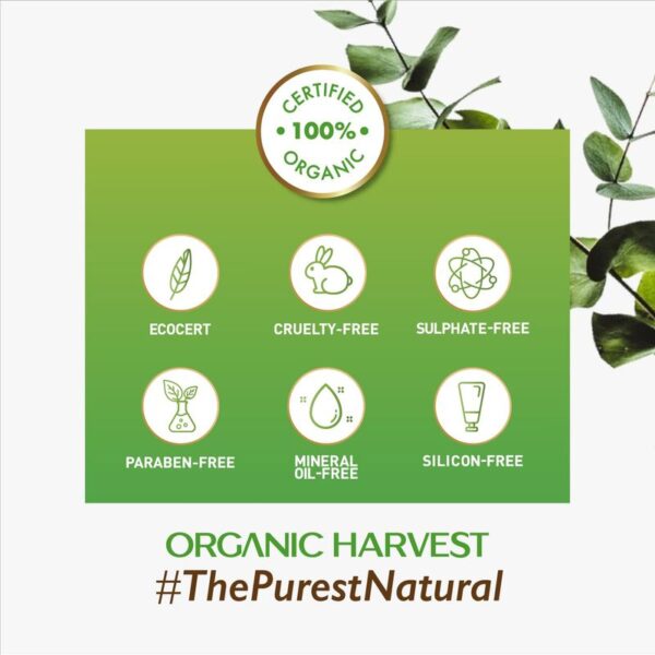 Organic Harvest Acne Control Mattifying Face Cleanser: Green Tea, Moringa & Aloe Vera-(100ml) - Image 6