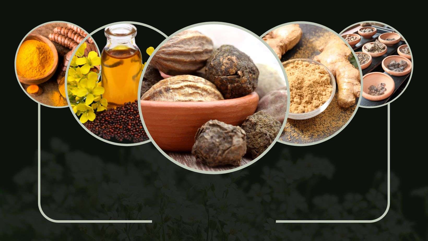 Key Ingredients in Ayurveda Massage oils