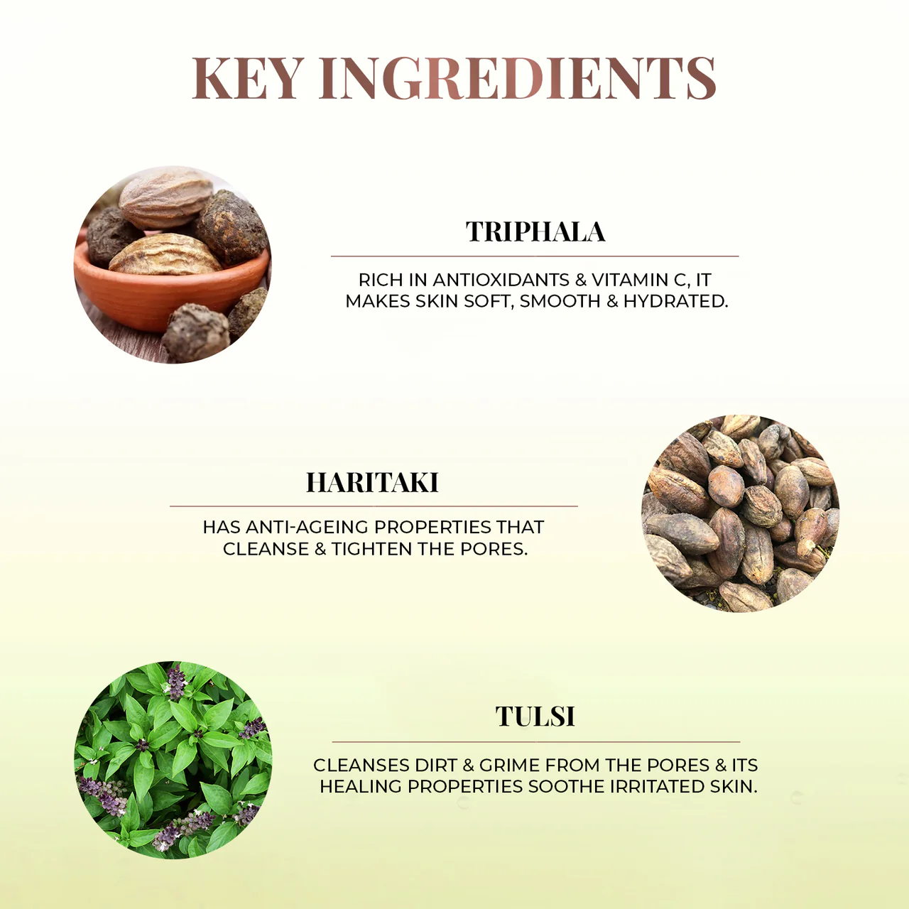 Sapta Jal Toner Micellar Water: 7 Plant Waters - Image 4